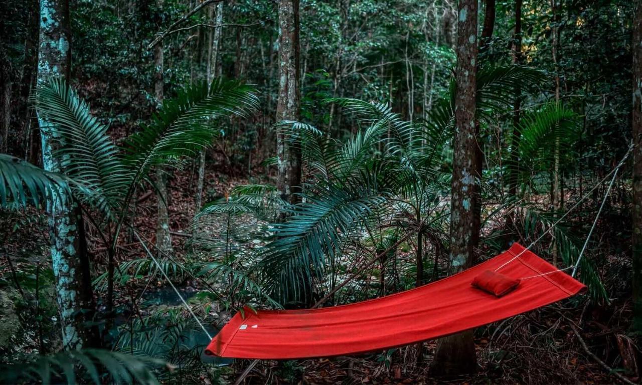 Narrows Escape Rainforest Retreat Монтвил Екстериор снимка