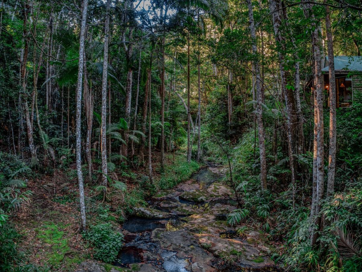 Narrows Escape Rainforest Retreat Монтвил Екстериор снимка