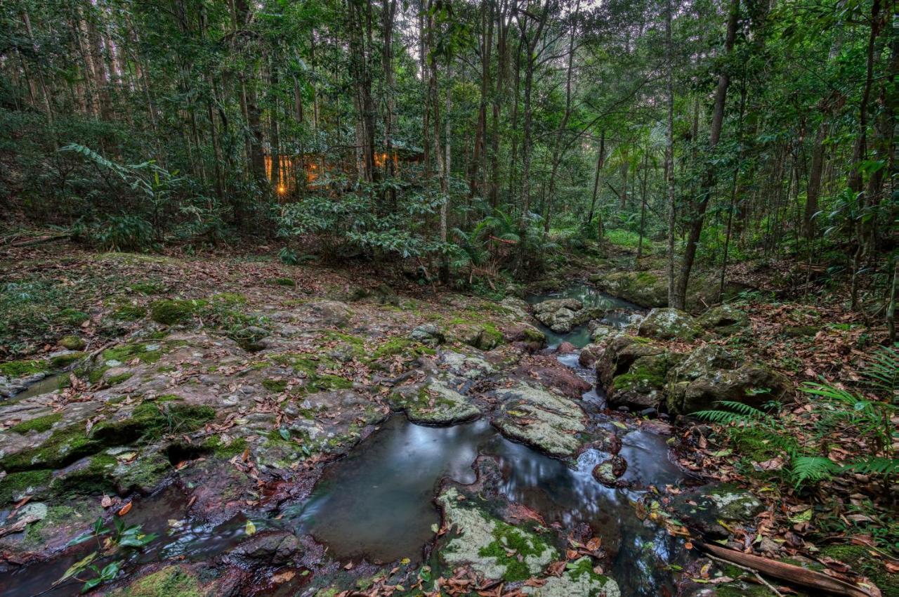 Narrows Escape Rainforest Retreat Монтвил Екстериор снимка