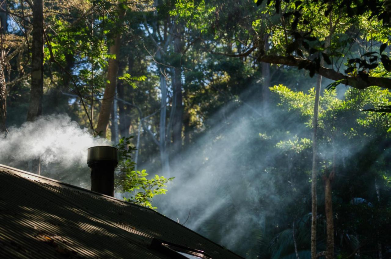 Narrows Escape Rainforest Retreat Монтвил Екстериор снимка