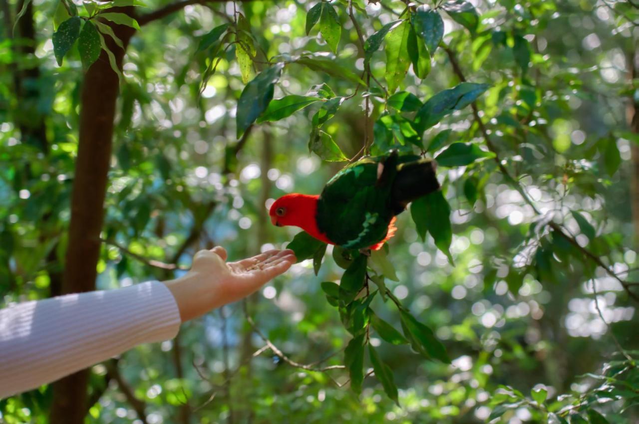 Narrows Escape Rainforest Retreat Монтвил Екстериор снимка