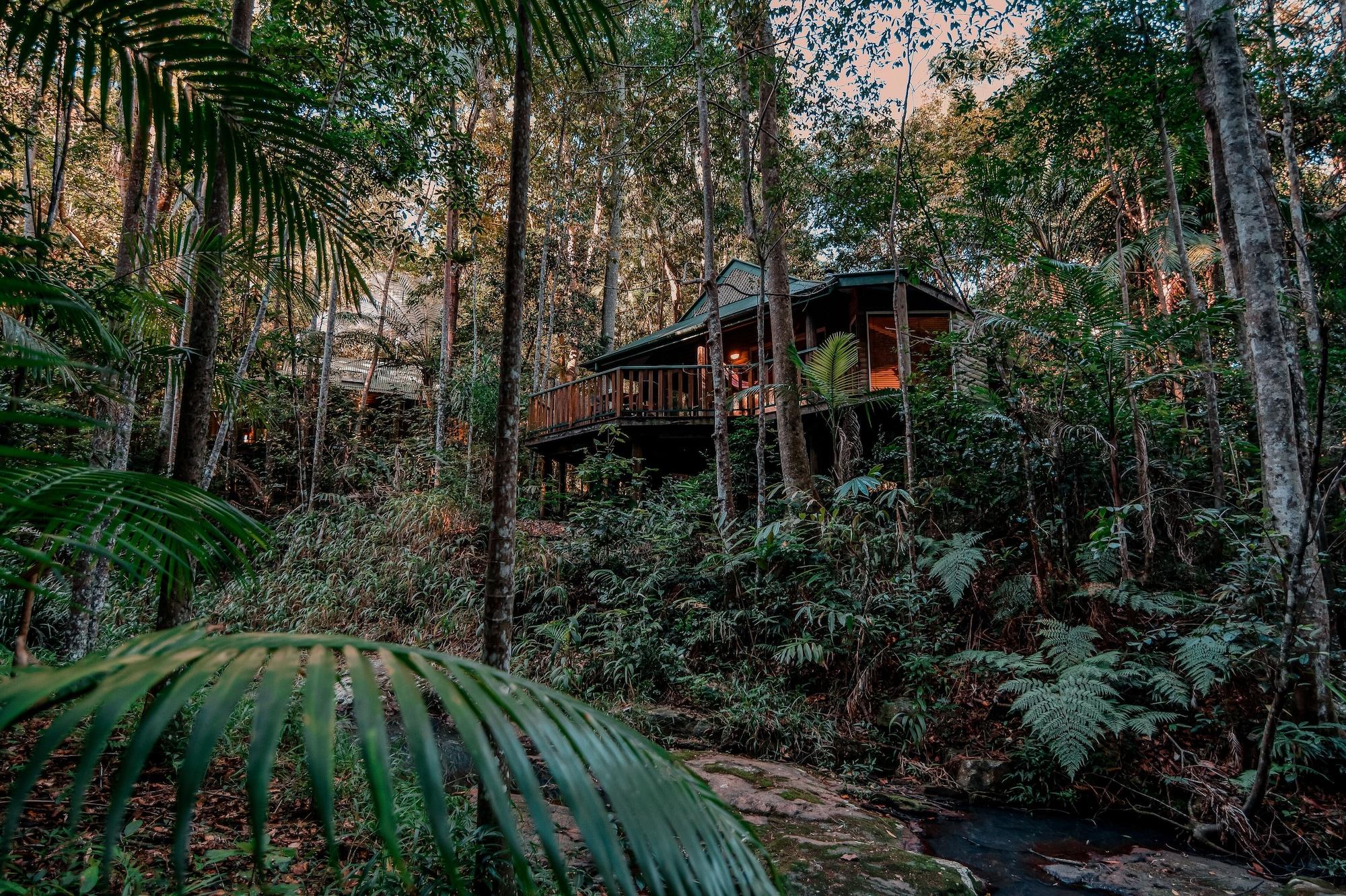 Narrows Escape Rainforest Retreat Монтвил Екстериор снимка