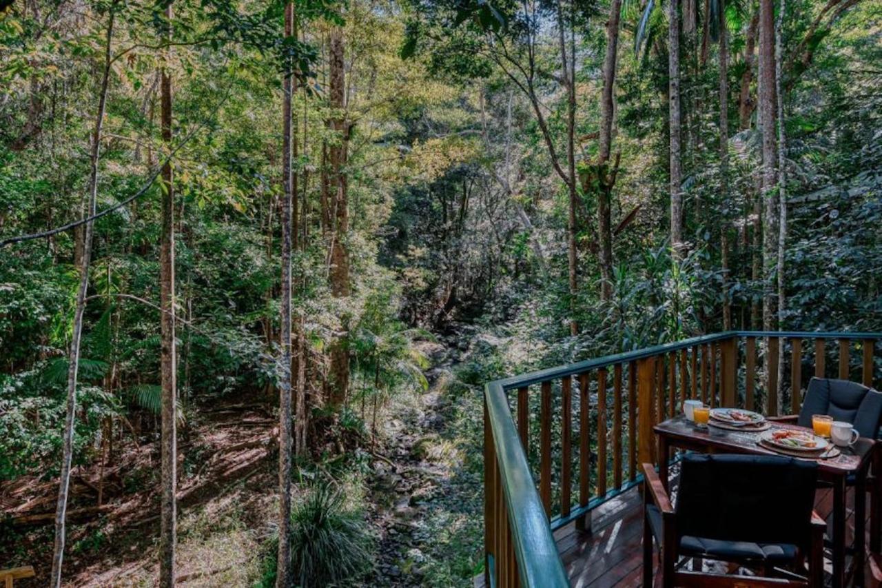 Narrows Escape Rainforest Retreat Монтвил Екстериор снимка