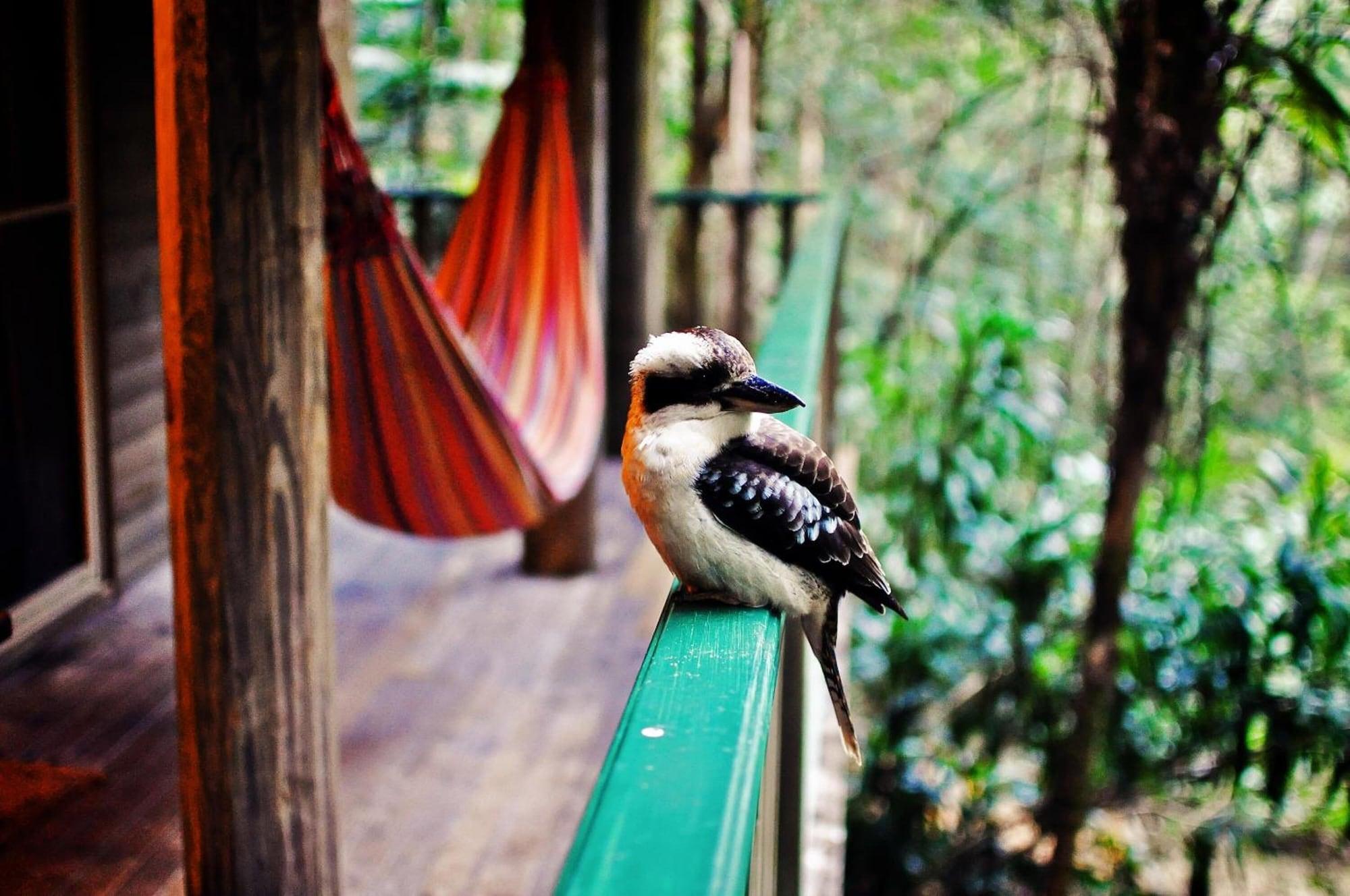 Narrows Escape Rainforest Retreat Монтвил Екстериор снимка