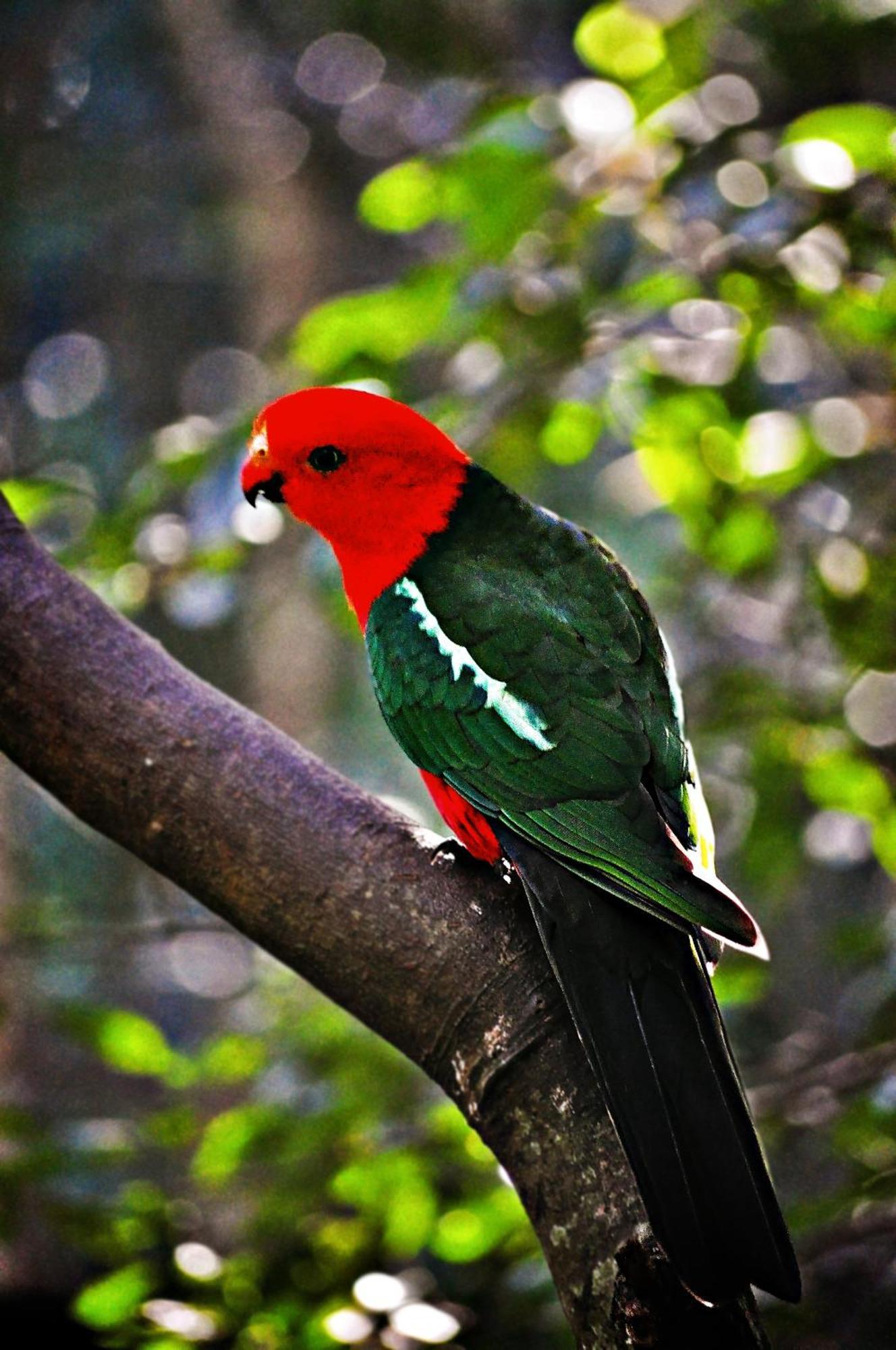 Narrows Escape Rainforest Retreat Монтвил Екстериор снимка