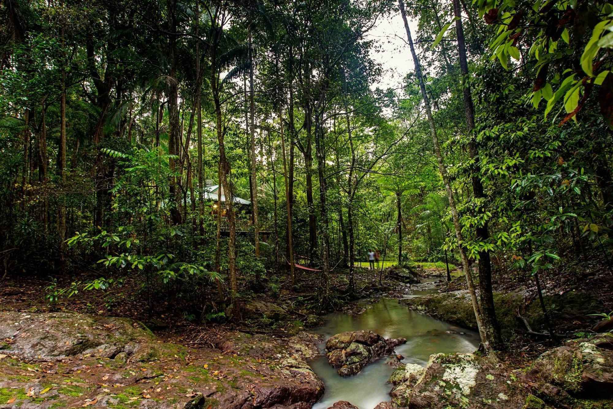 Narrows Escape Rainforest Retreat Монтвил Екстериор снимка