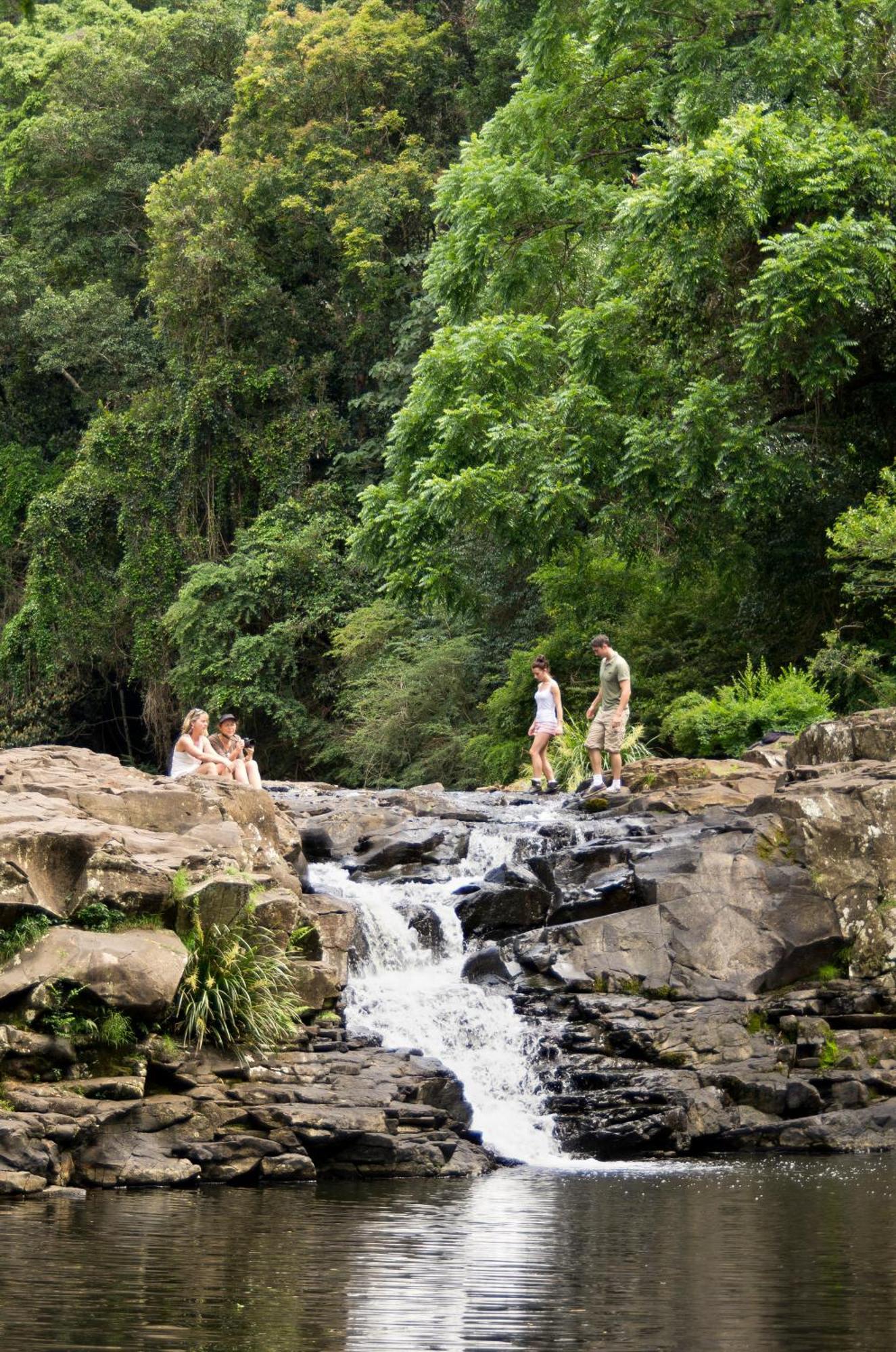 Narrows Escape Rainforest Retreat Монтвил Екстериор снимка