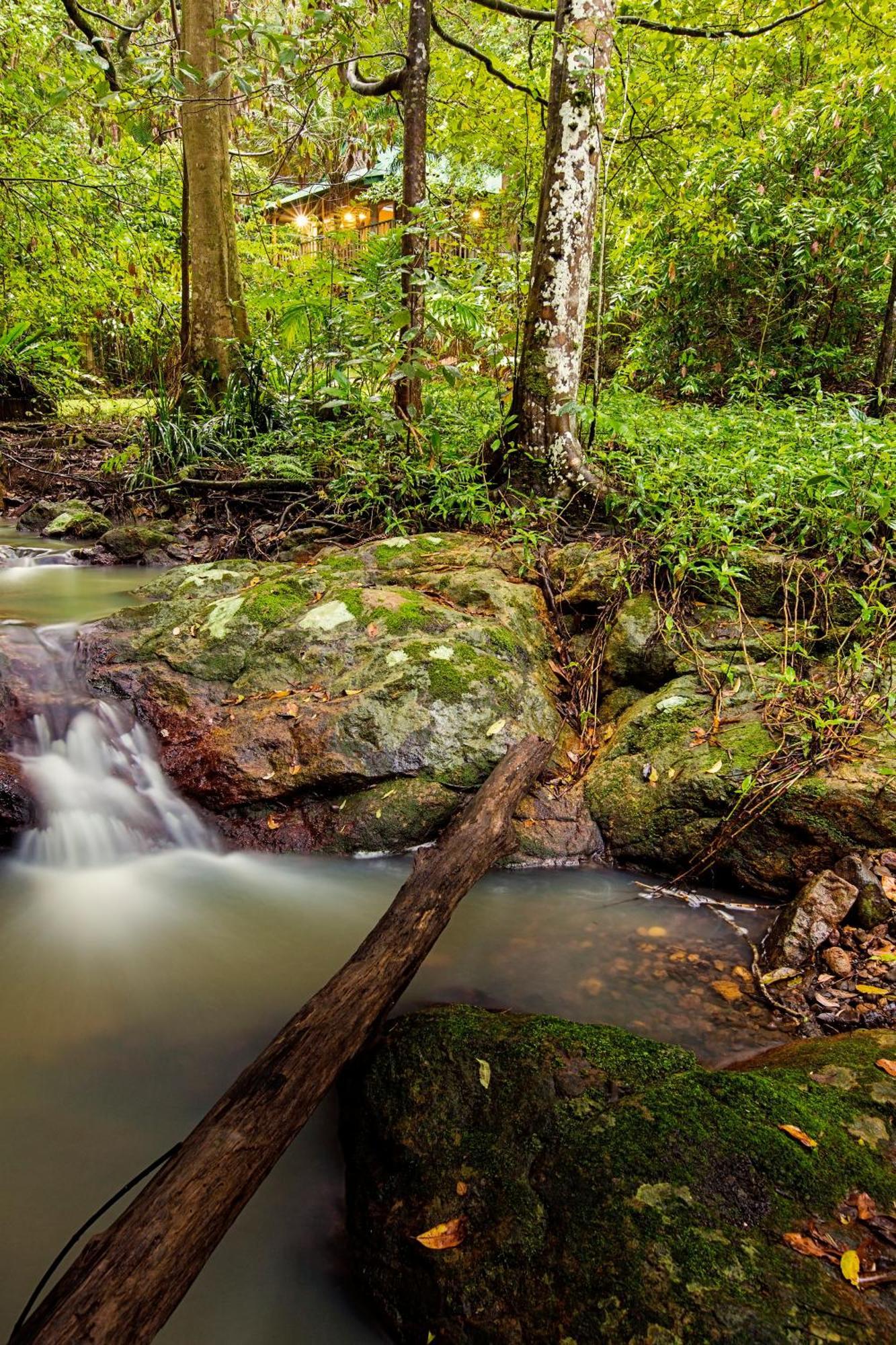 Narrows Escape Rainforest Retreat Монтвил Екстериор снимка