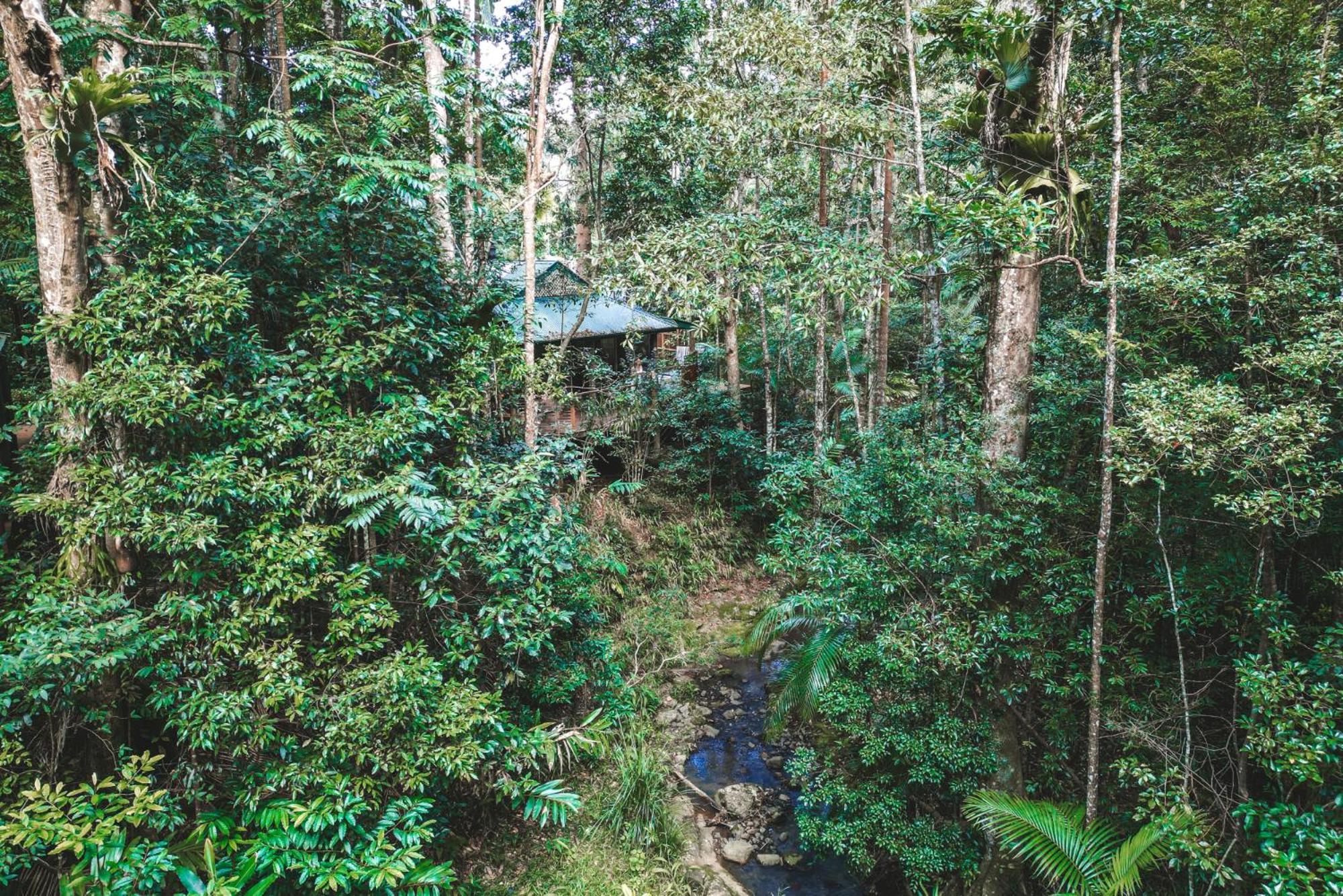 Narrows Escape Rainforest Retreat Монтвил Екстериор снимка