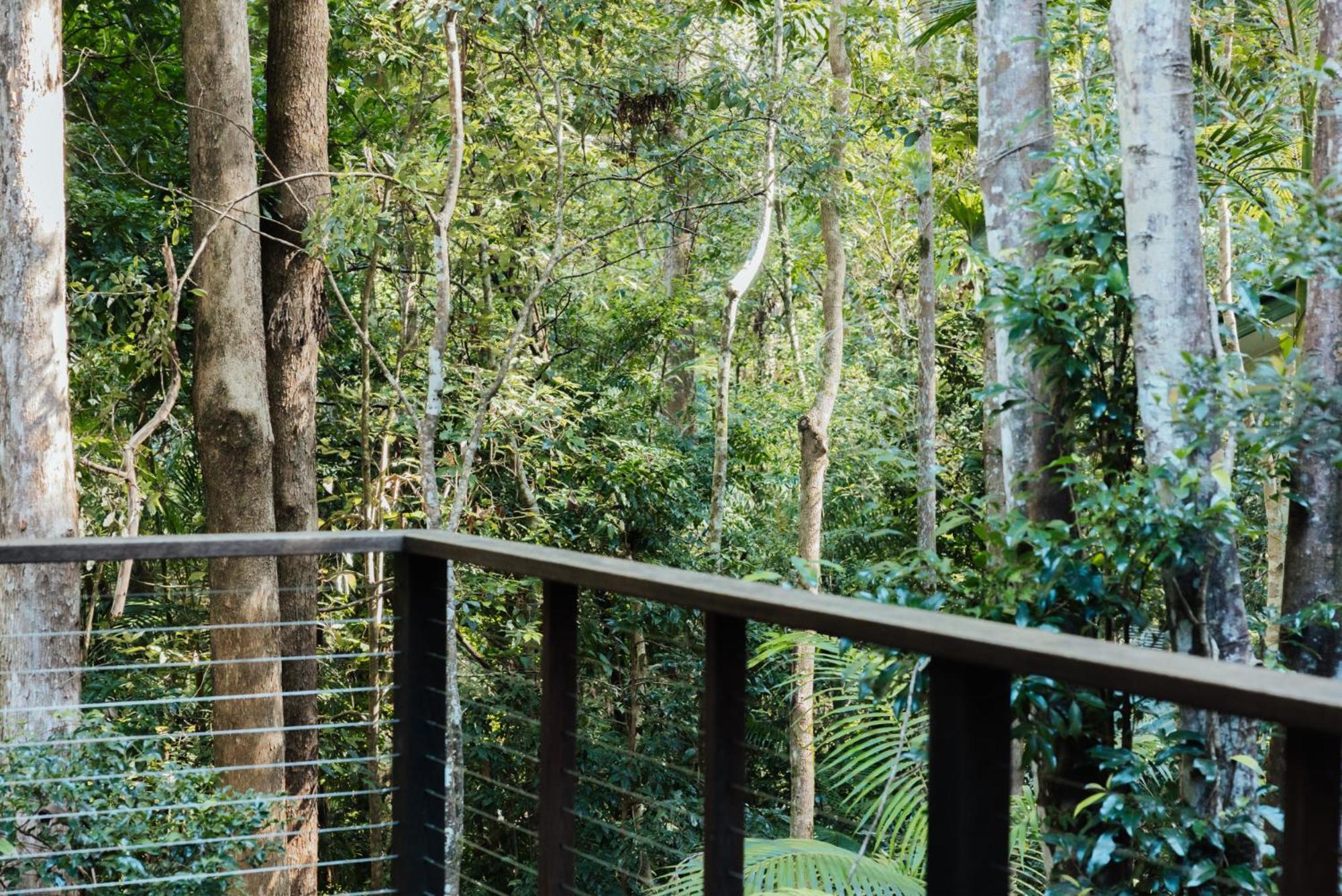 Narrows Escape Rainforest Retreat Монтвил Екстериор снимка